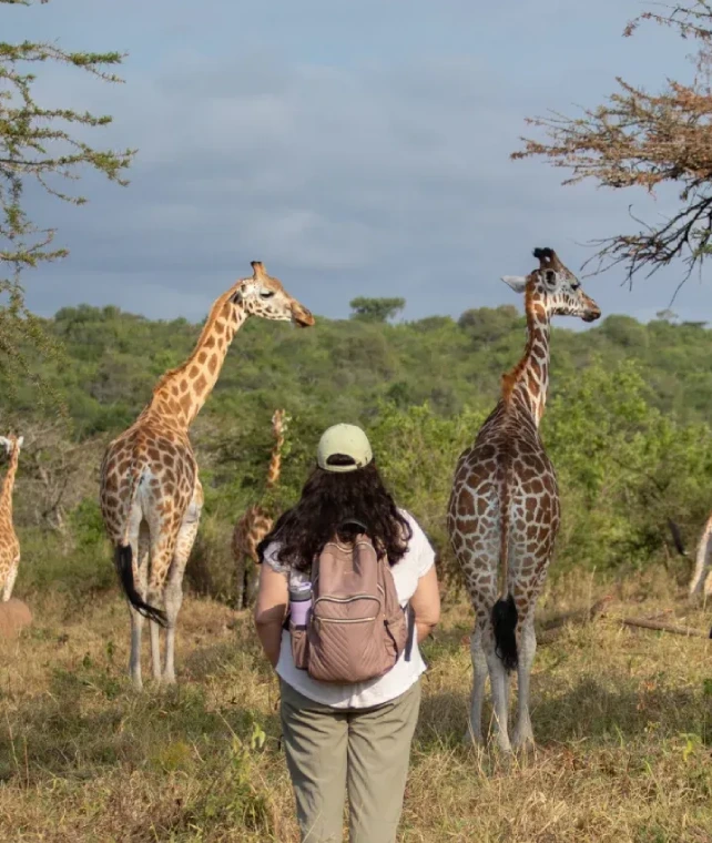 Walking Safari