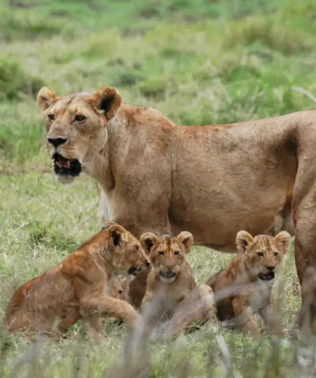 arusha-national-park-4