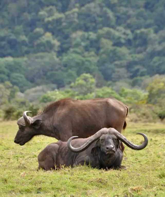 arusha-national-park-6
