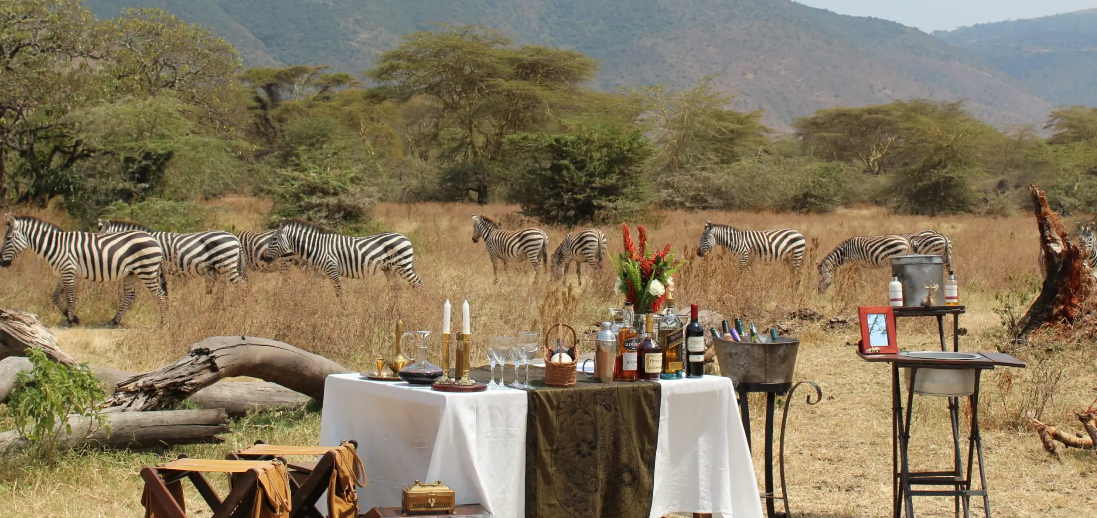 bush-lunch-safari-view