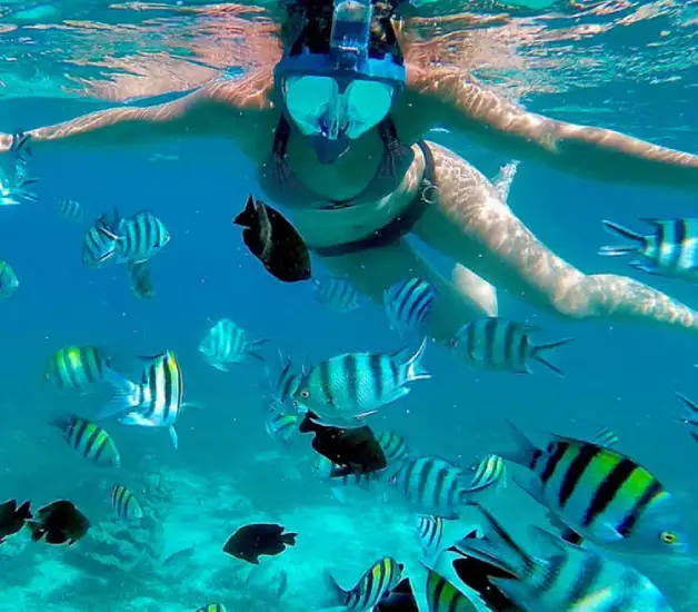 dolphin-watching-snorkelling-at-mnemba-island-4