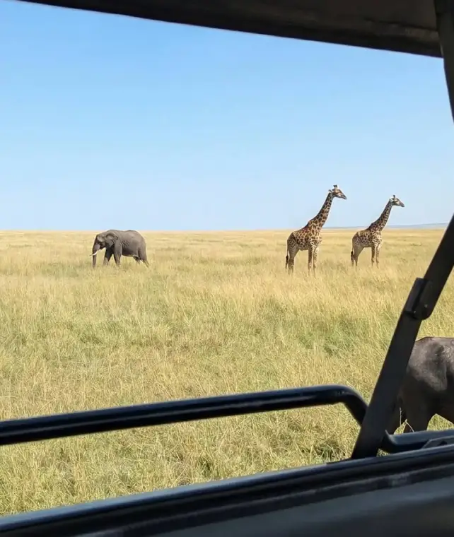 Game Drive