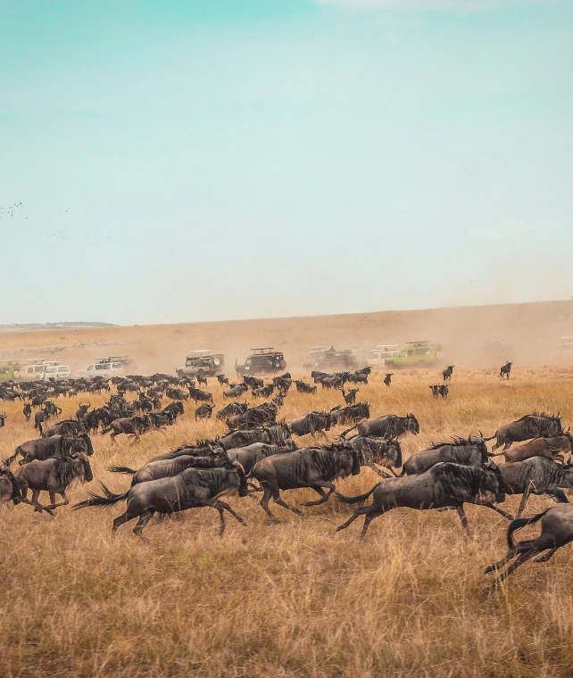 Great Migration