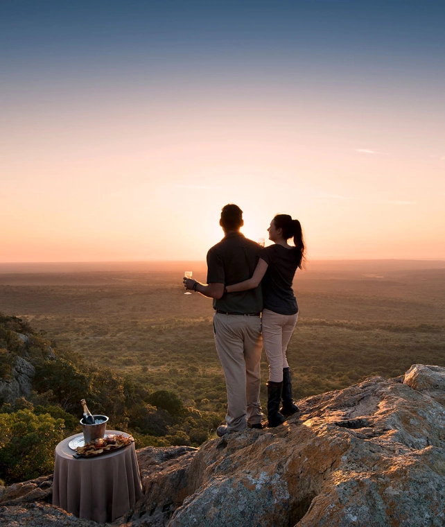 Honeymoon Safari