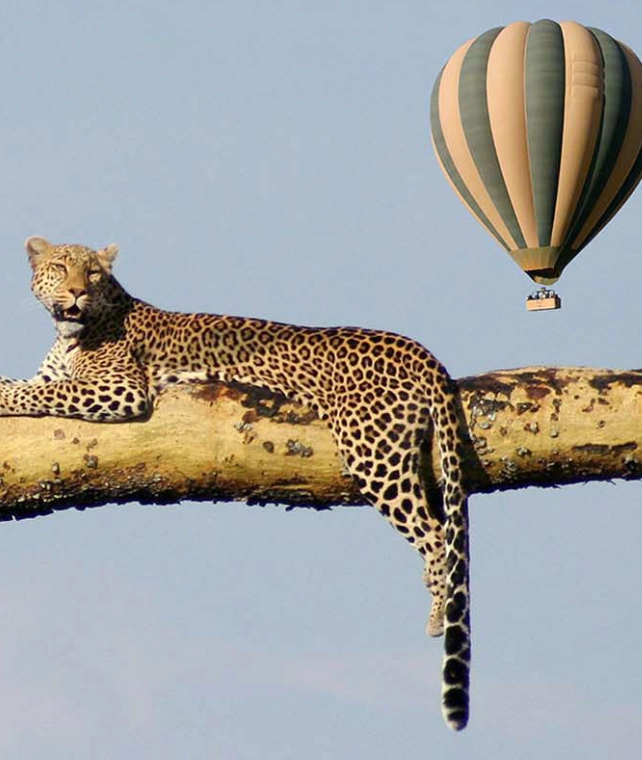 Hot Air Balloon Safar