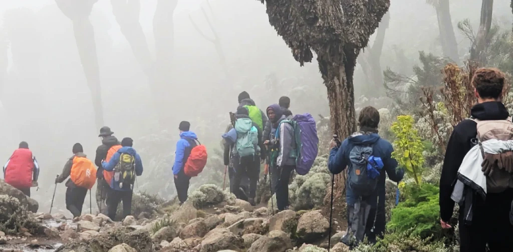 Climbing Mount Kliminjaro