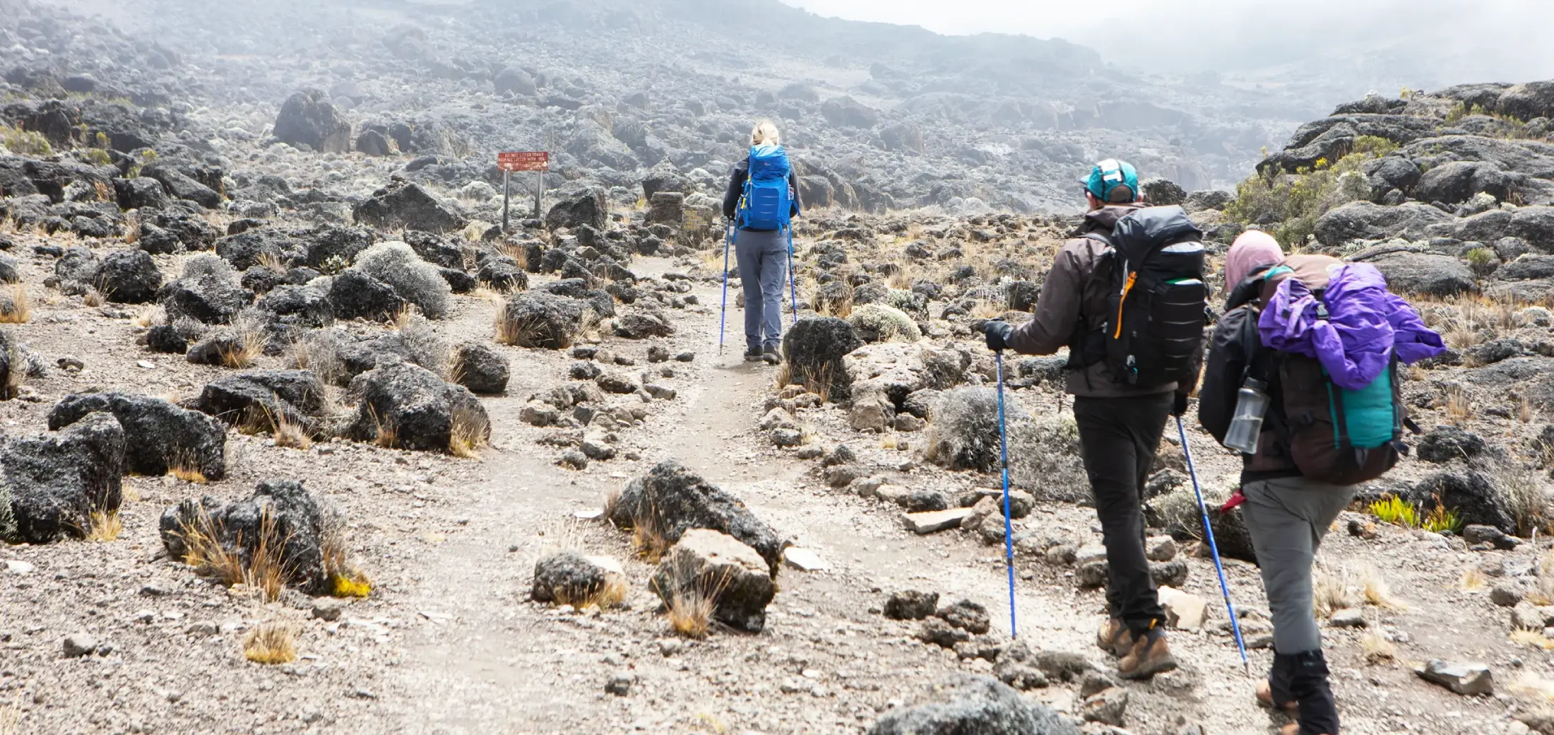 kilimanjaro-travel-insurance-4