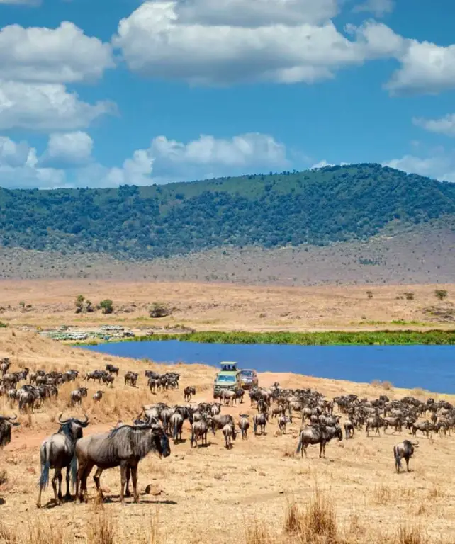 ngorongoro-crater-wildlife-attraction