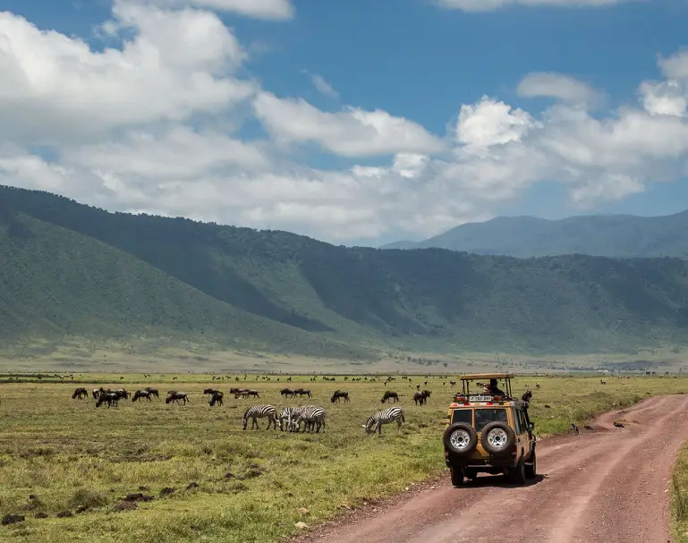 ngorongoro-crater-wildlife-attraction