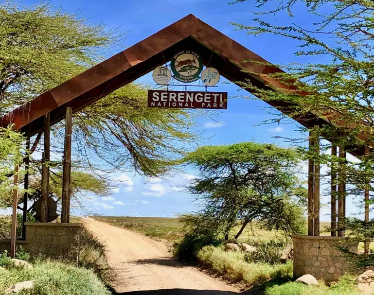 serengeti-national-park-wildlife-attraction