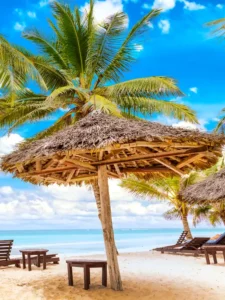 Zanzibar