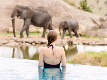 5-days-tanzania-honeymoon-safari2