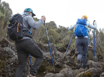 7-days-of-trekking-on-mount-kilimanjaro-lemosho-route