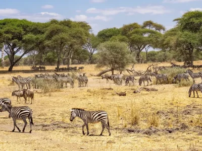 best-time-to-visit-tanzania
