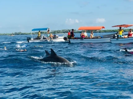 dolphin-watching-snorkelling-at-mnemba-island-overview