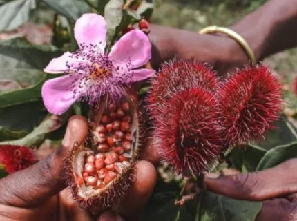 stone-town-heritage-tour-spice-farm-experience3