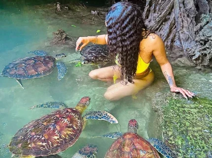 swim-with-sea-turtles-at-baraka-natural-aquarium1